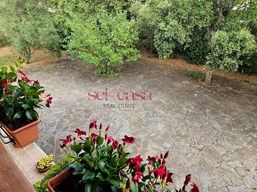 Immagine 12 di Villa in vendita  a Grosseto