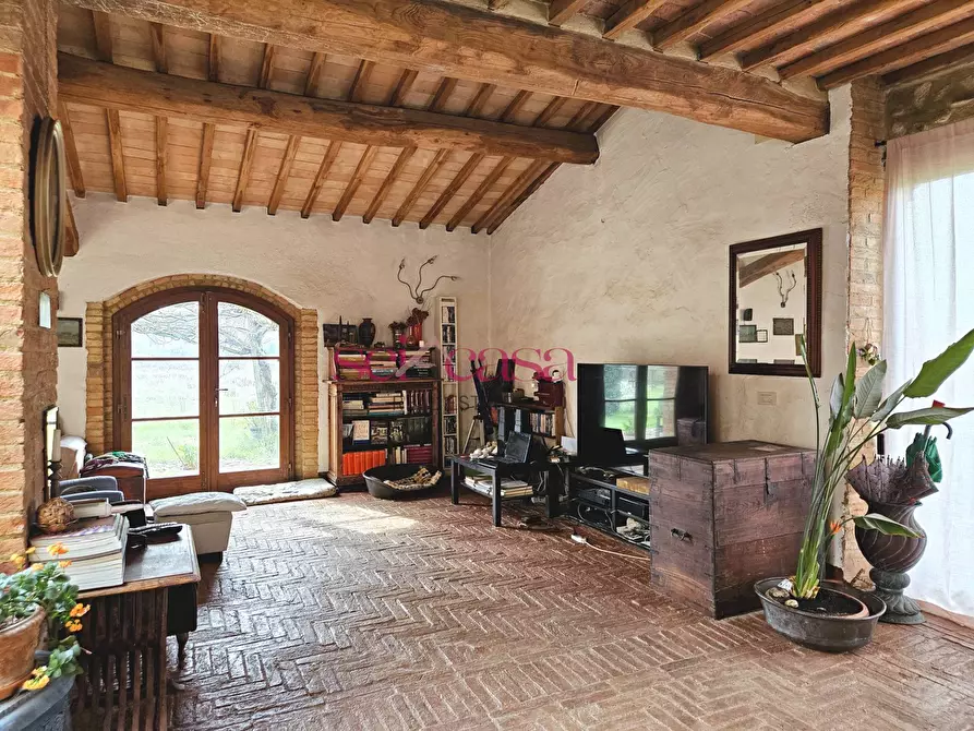 Immagine 2 di Agriturismo in vendita  a Civitella Paganico
