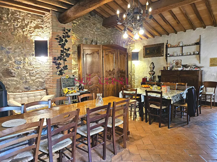 Immagine 8 di Agriturismo in vendita  a Civitella Paganico