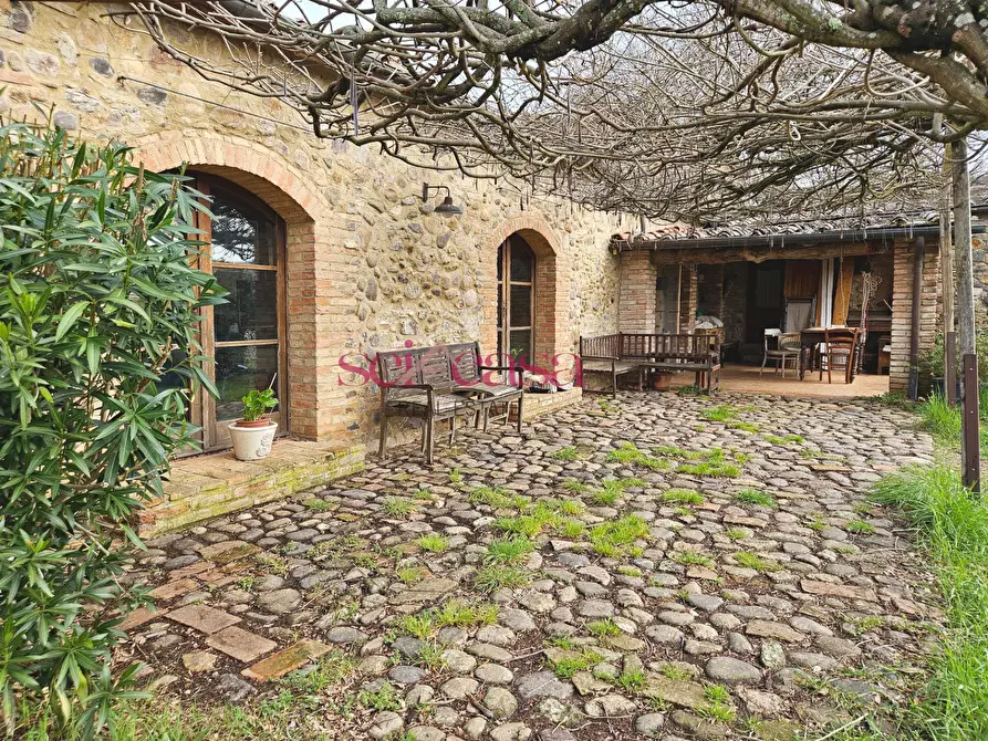 Immagine 11 di Agriturismo in vendita  a Civitella Paganico