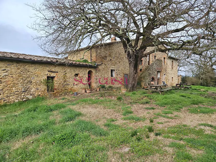 Immagine 13 di Agriturismo in vendita  a Civitella Paganico