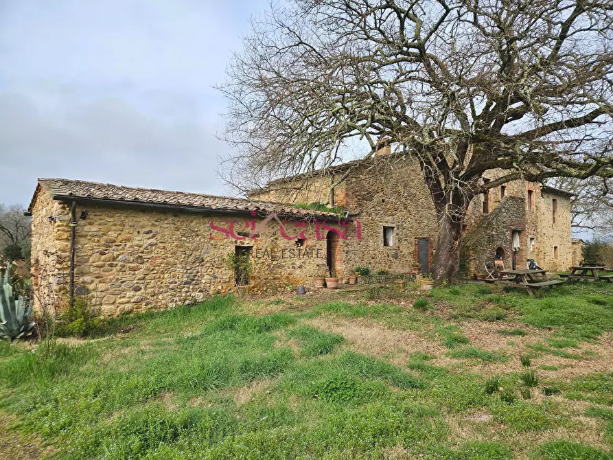 Immagine 14 di Agriturismo in vendita  a Civitella Paganico