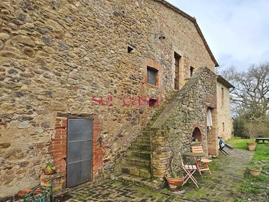 Immagine 15 di Agriturismo in vendita  a Civitella Paganico