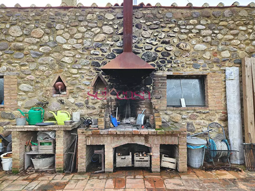Immagine 16 di Agriturismo in vendita  a Civitella Paganico