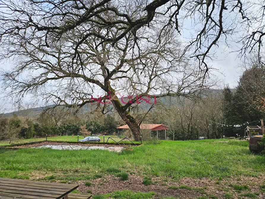 Immagine 18 di Agriturismo in vendita  a Civitella Paganico