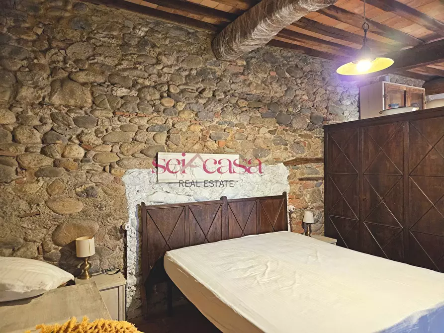 Immagine 20 di Agriturismo in vendita  a Civitella Paganico