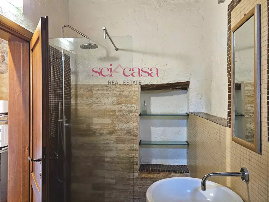 Immagine 21 di Agriturismo in vendita  a Civitella Paganico