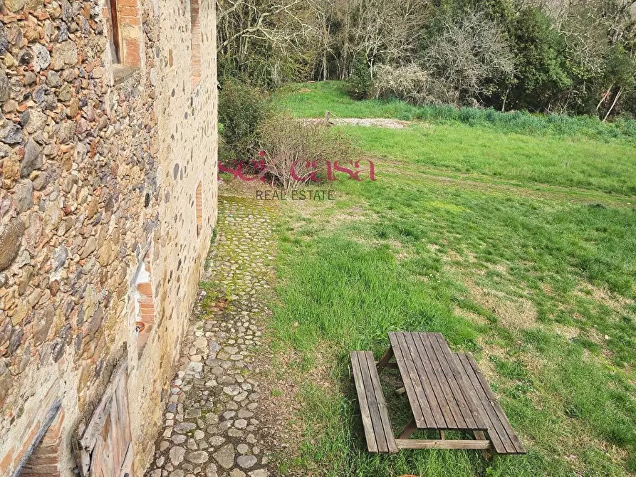 Immagine 22 di Agriturismo in vendita  a Civitella Paganico