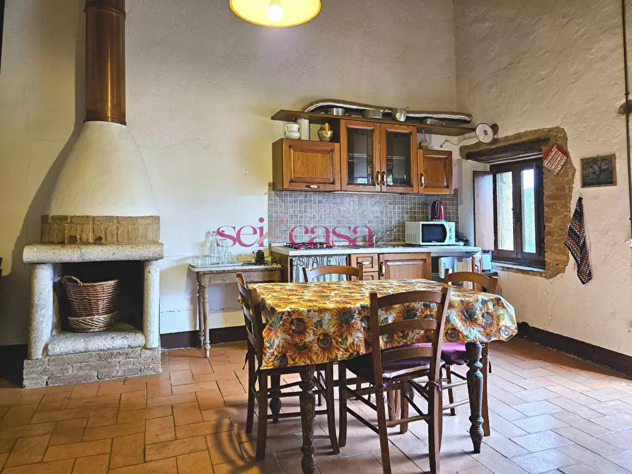 Immagine 23 di Agriturismo in vendita  a Civitella Paganico