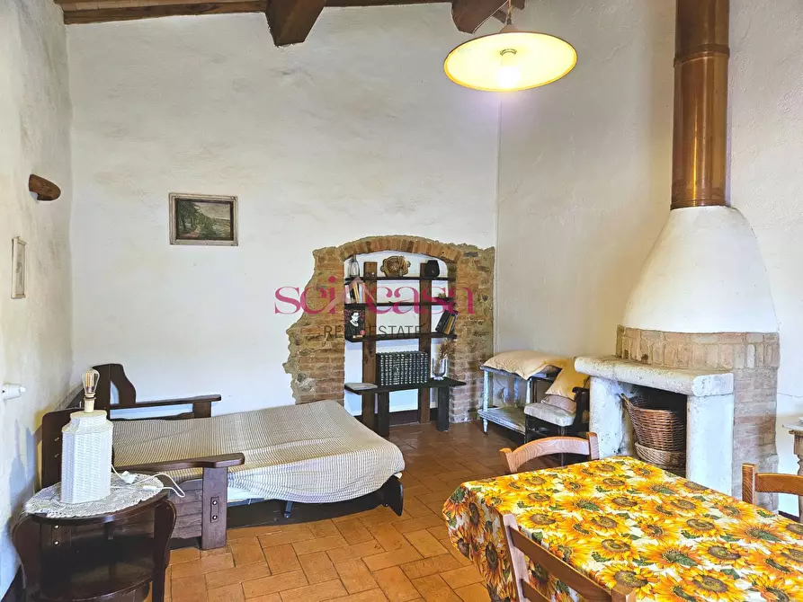Immagine 24 di Agriturismo in vendita  a Civitella Paganico