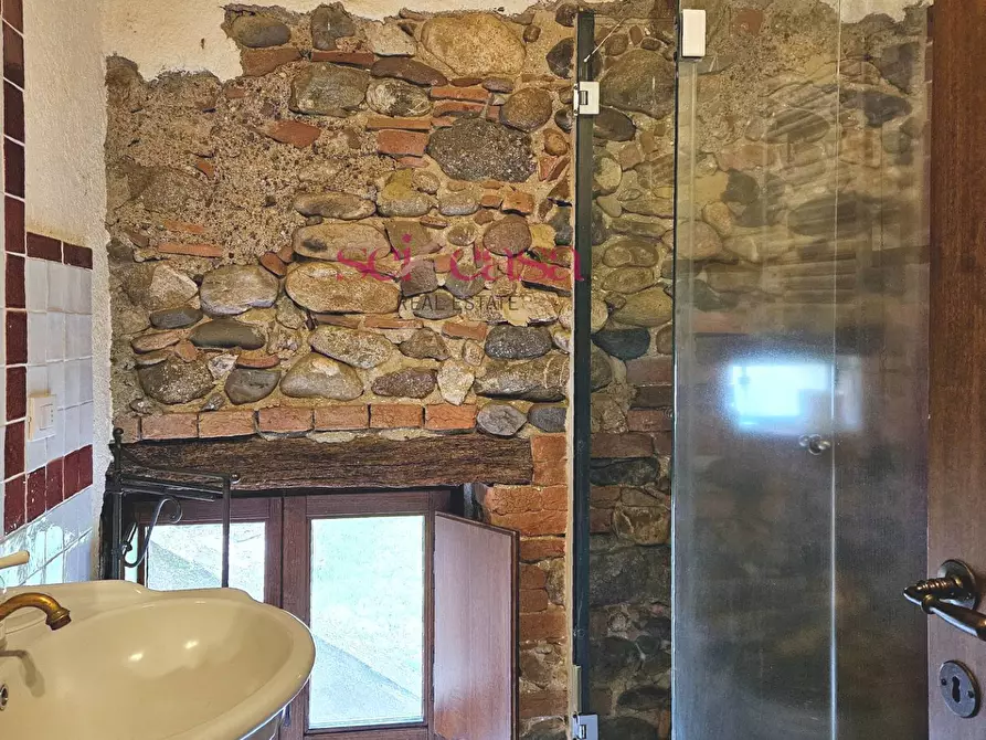 Immagine 28 di Agriturismo in vendita  a Civitella Paganico