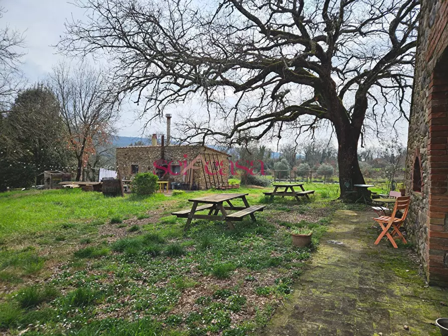 Immagine 29 di Agriturismo in vendita  a Civitella Paganico