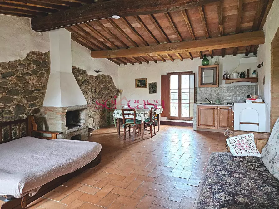 Immagine 38 di Agriturismo in vendita  a Civitella Paganico