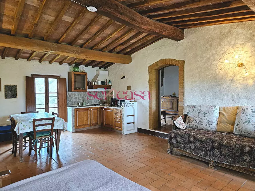 Immagine 39 di Agriturismo in vendita  a Civitella Paganico