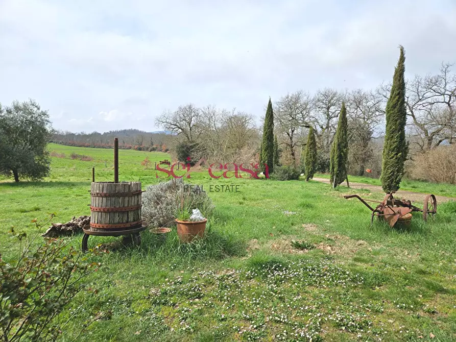 Immagine 42 di Agriturismo in vendita  a Civitella Paganico