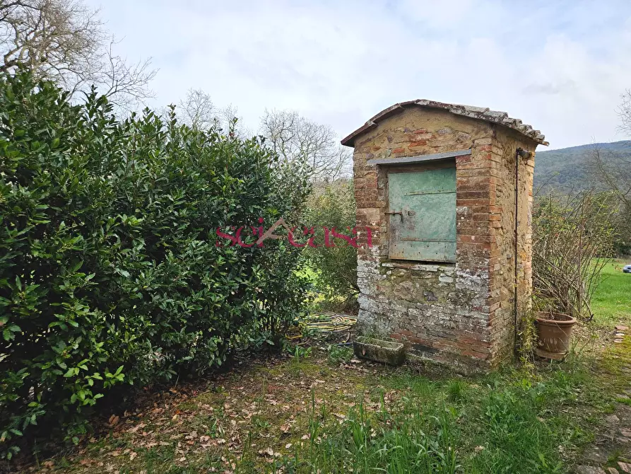 Immagine 50 di Agriturismo in vendita  a Civitella Paganico