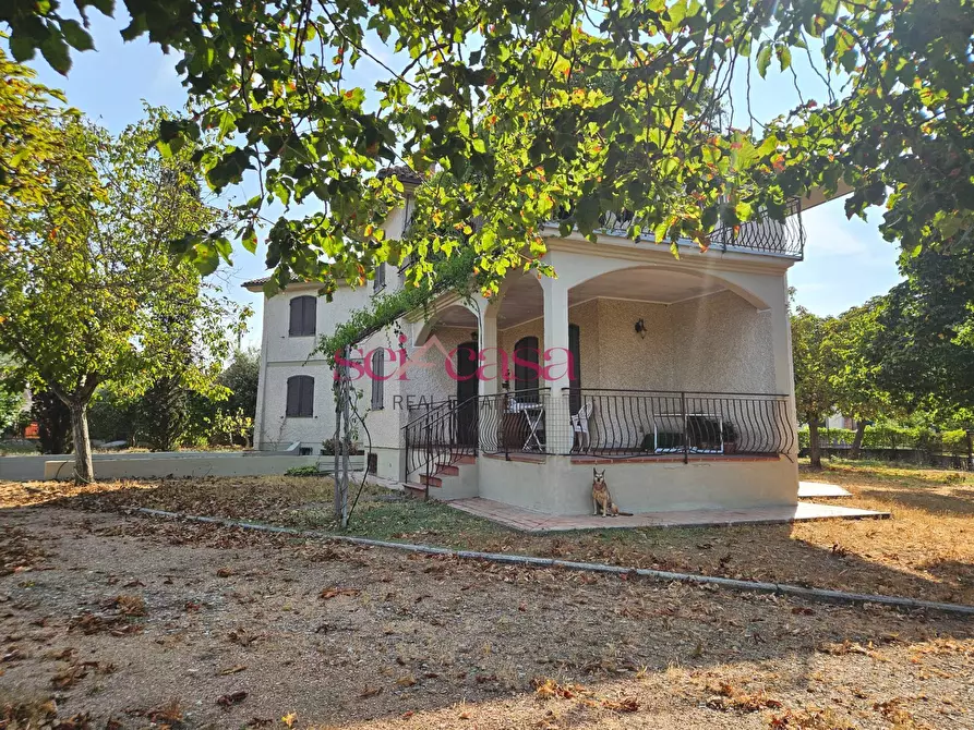 Immagine 4 di Villa in vendita  a Roccastrada