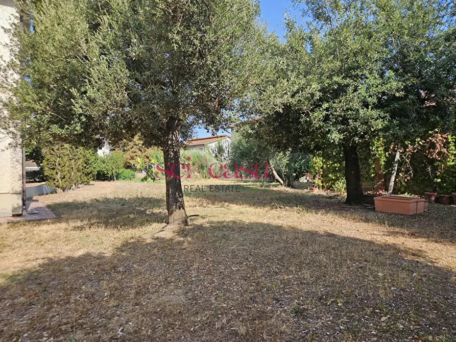 Immagine 6 di Villa in vendita  a Roccastrada