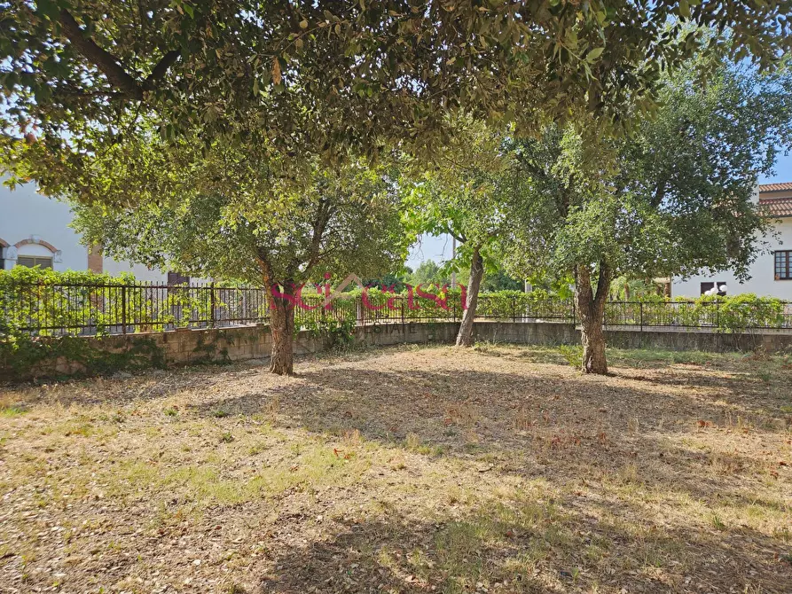 Immagine 7 di Villa in vendita  a Roccastrada