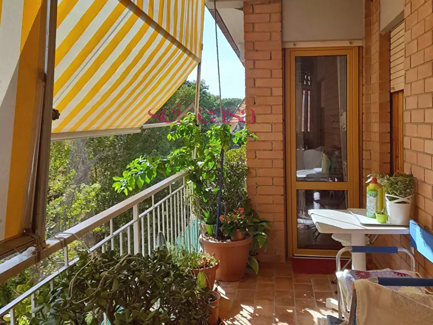 Immagine 18 di Appartamento in vendita  a Grosseto