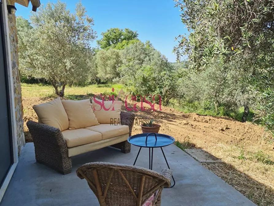 Immagine 5 di Rustico / casale in vendita  a Scansano