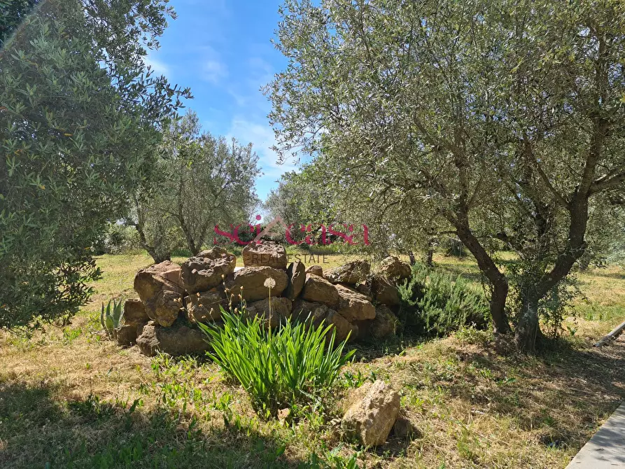 Immagine 13 di Rustico / casale in vendita  a Scansano