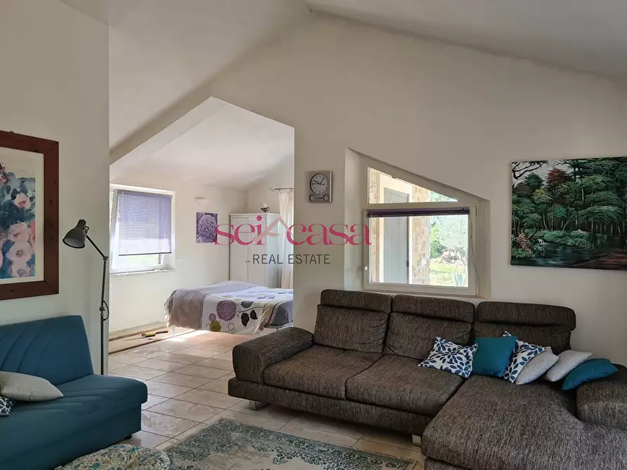 Immagine 3 di Rustico / casale in vendita  a Scansano