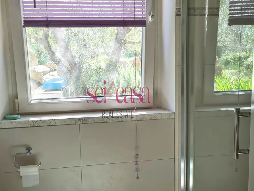 Immagine 9 di Rustico / casale in vendita  a Scansano