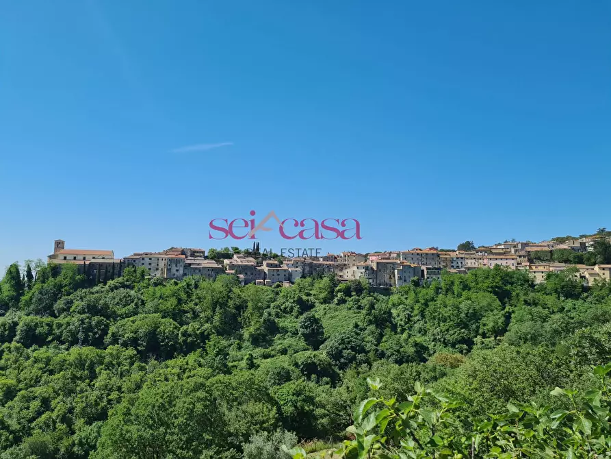 Immagine 15 di Rustico / casale in vendita  a Scansano