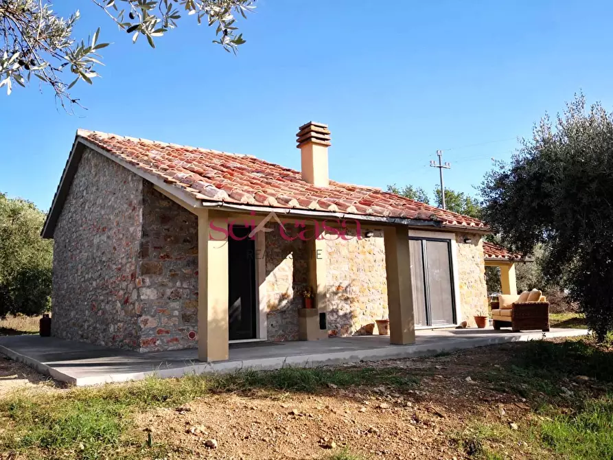 Immagine 10 di Rustico / casale in vendita  a Scansano