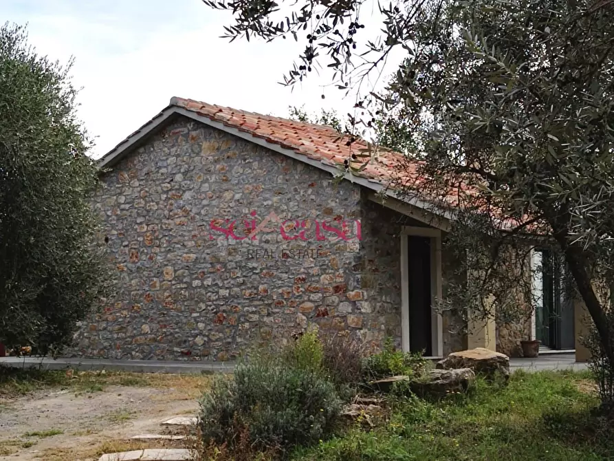 Immagine 11 di Rustico / casale in vendita  a Scansano