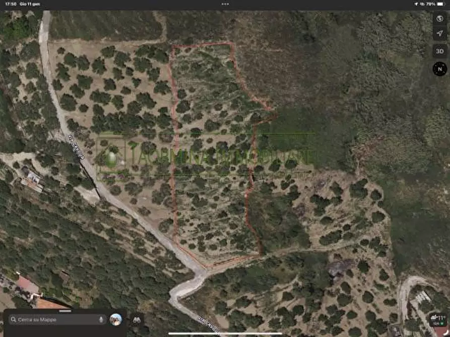 Immagine 2 di Terreno agricolo in vendita  in Contrada Bandiera s.n.c. a Calatabiano