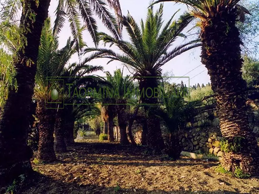 Immagine 50 di Villa in vendita  in via Luigi Pirandello 99 a Taormina