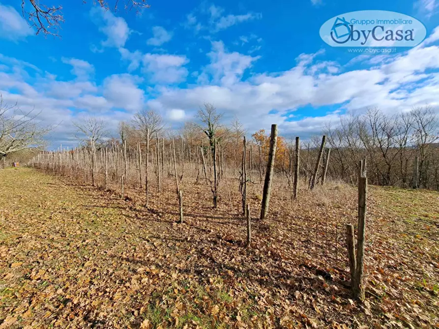 Immagine 1 di Terreno agricolo in vendita  in Oriolo Romano a Arlena Di Castro