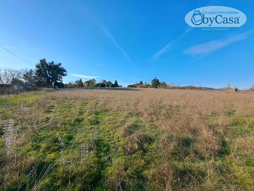 Immagine 1 di Terreno agricolo in vendita  in Bassano Romano a Bassano In Teverina