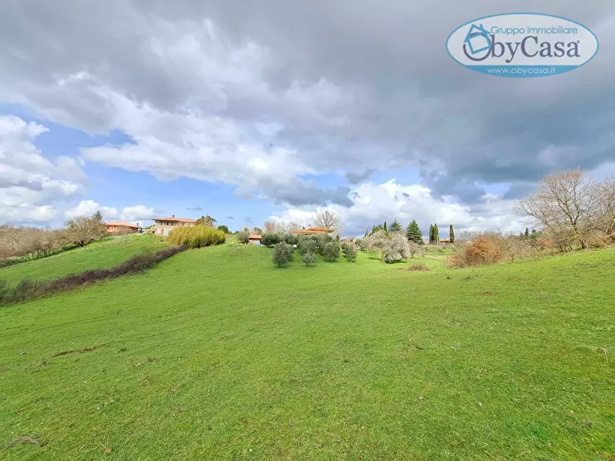 Immagine 38 di Villa in vendita  in Oriolo Romano a Arlena Di Castro