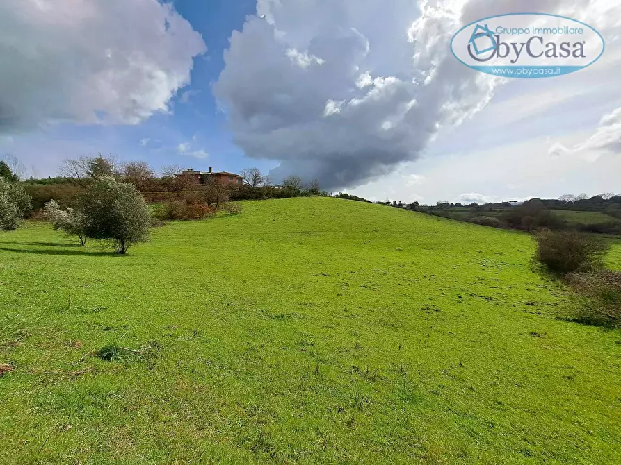 Immagine 39 di Villa in vendita  in Oriolo Romano a Arlena Di Castro