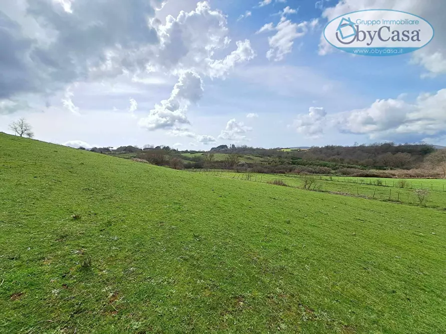 Immagine 40 di Villa in vendita  in Oriolo Romano a Arlena Di Castro