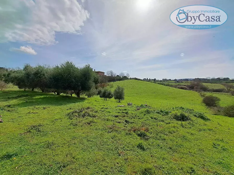 Immagine 43 di Villa in vendita  in Oriolo Romano a Arlena Di Castro