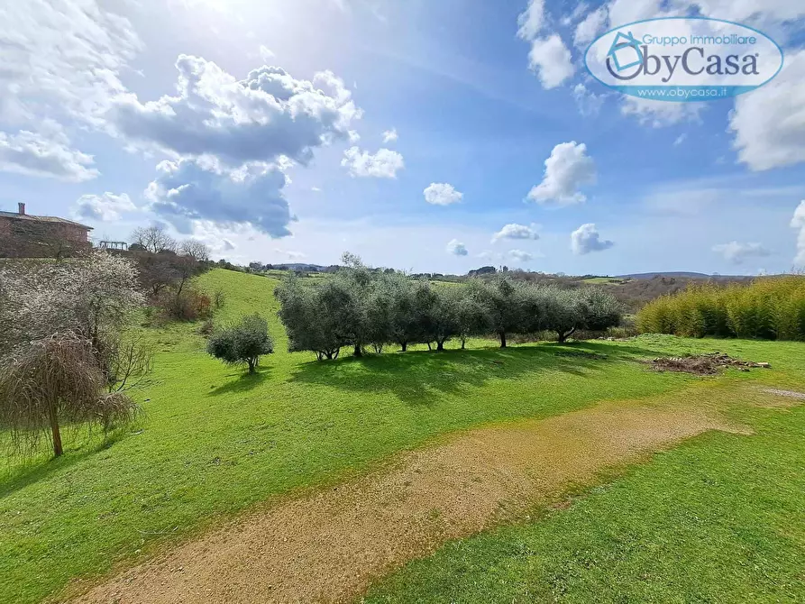 Immagine 33 di Villa in vendita  in Oriolo Romano a Arlena Di Castro