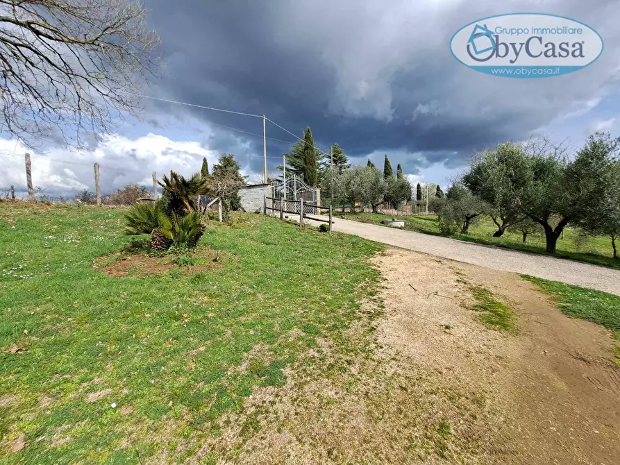 Immagine 47 di Villa in vendita  in Oriolo Romano a Arlena Di Castro