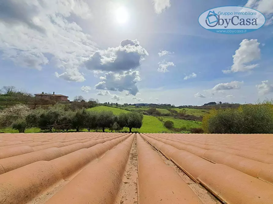 Immagine 29 di Villa in vendita  in Oriolo Romano a Arlena Di Castro