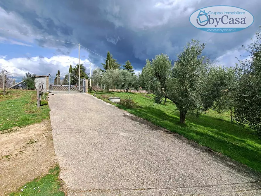 Immagine 46 di Villa in vendita  in Oriolo Romano a Arlena Di Castro