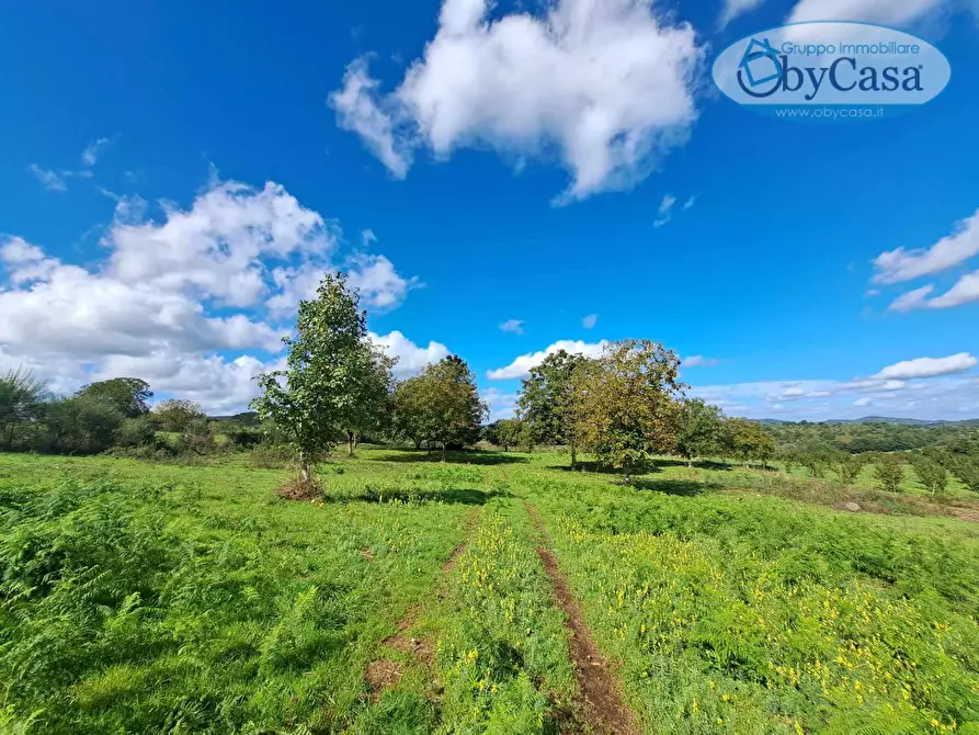 Immagine 1 di Terreno agricolo in vendita  in Oriolo Romano a Arlena Di Castro