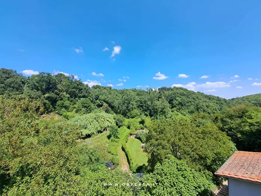 Immagine 10 di Casa indipendente in vendita  in Bassano Romano a Bassano In Teverina