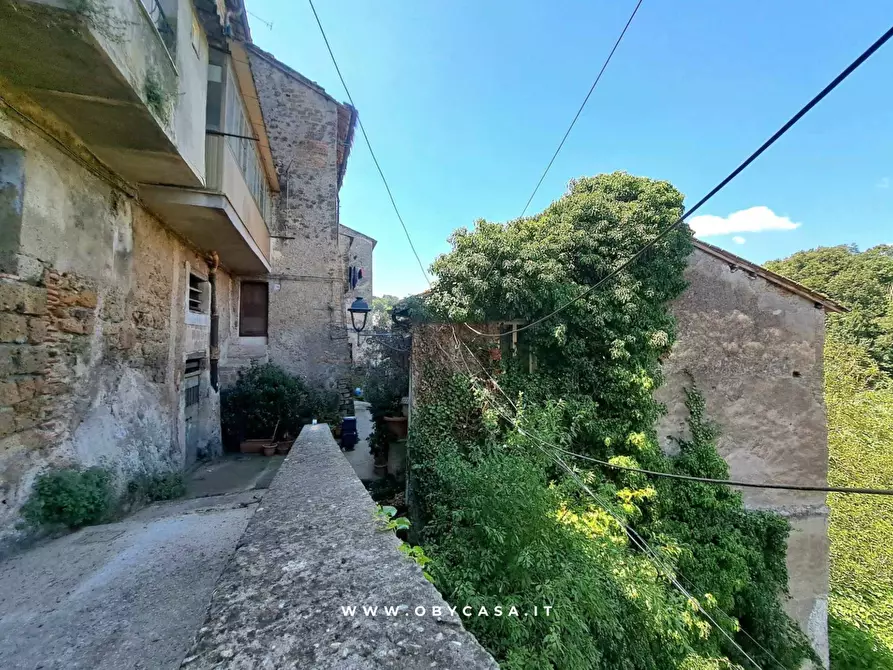 Immagine 11 di Casa indipendente in vendita  in Bassano Romano a Bassano In Teverina