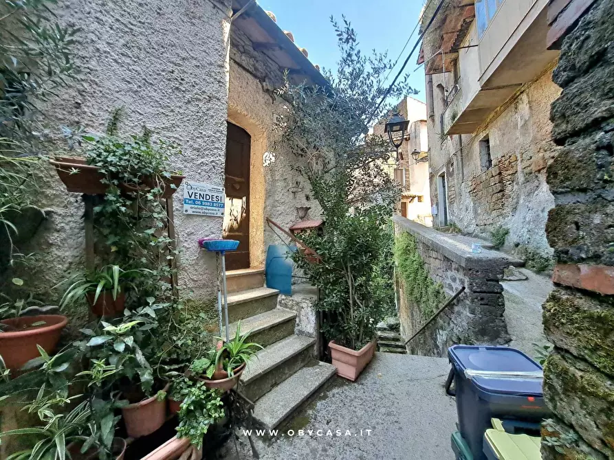 Immagine 12 di Casa indipendente in vendita  in Bassano Romano a Bassano In Teverina