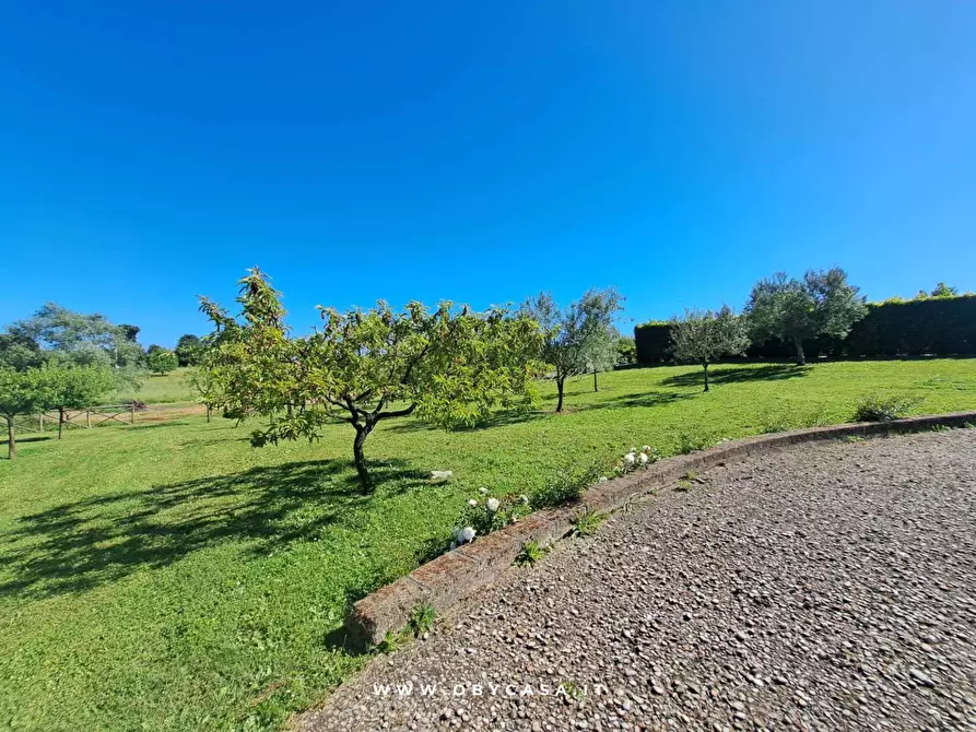 Immagine 48 di Villa in vendita  in Vejano a Arlena Di Castro