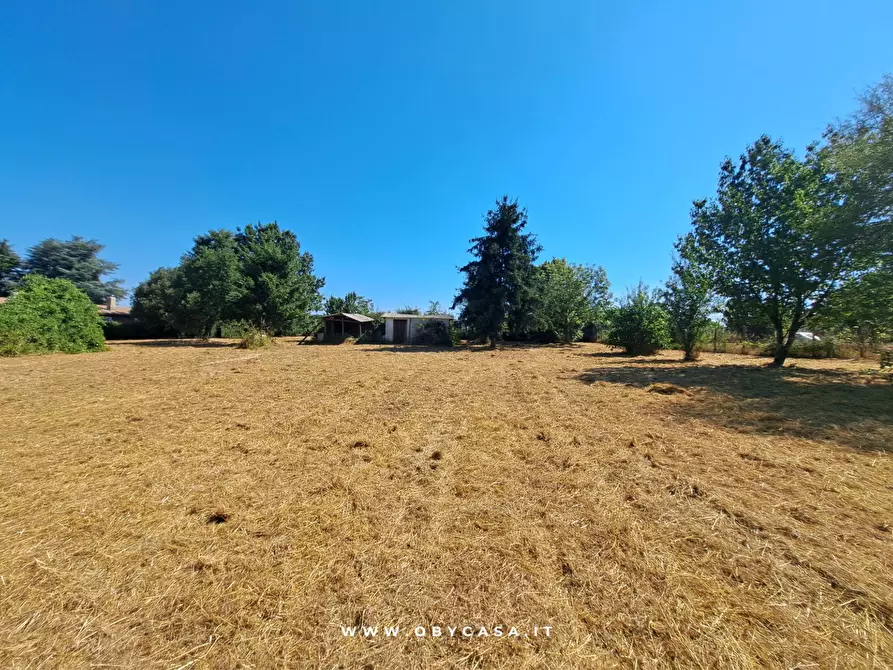 Immagine 5 di Casa indipendente in vendita  in Bassano Romano a Bassano In Teverina