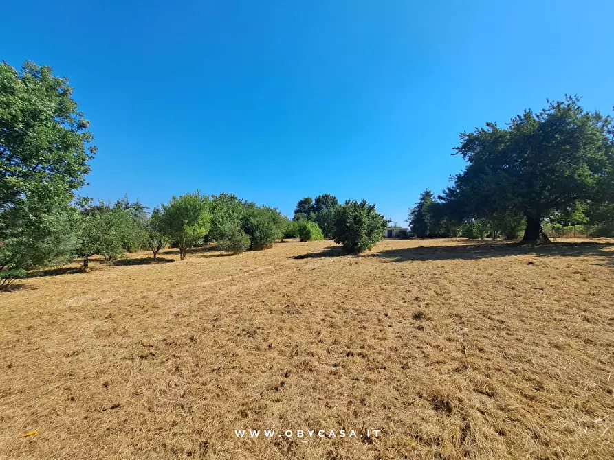 Immagine 6 di Casa indipendente in vendita  in Bassano Romano a Bassano In Teverina